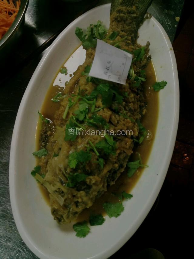 经典黄河红鲤鱼