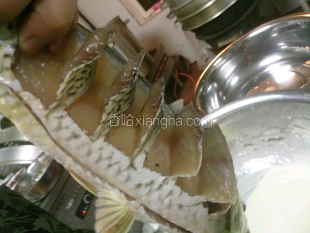 鲤鱼去鳞个内脏以及鳃，清水洗净。改刀方式先竖刀入肉在横刀开身。这一步骤一定要小心，关系着这道菜的貌相。