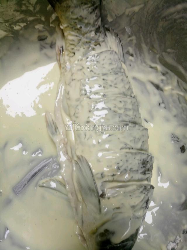 把鱼放进搅好的面糊里，全身上糊。
