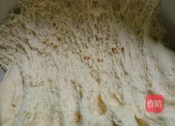 胡萝卜肉包的做法图解10