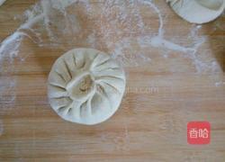 胡萝卜肉包的做法图解15