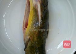 黄甲鱼汤的做法图解1