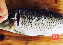 清炖鲤鱼的做法图解2