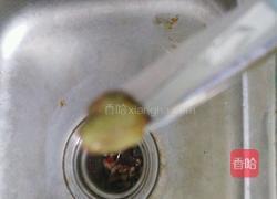 虾的清理的做法图解3