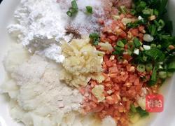 鸡肉丸子的做法图解9