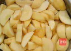 苹果罐头的做法图解2