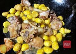 板栗焖鸡肉的做法图解11