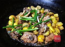 板栗焖鸡肉的做法图解14