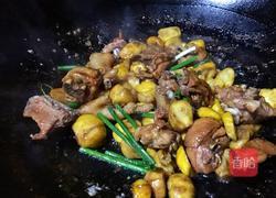 板栗焖鸡肉的做法图解15