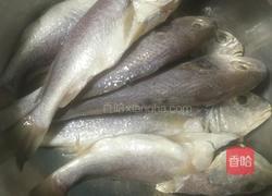 红烧小黄鱼的做法图解2