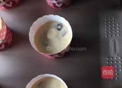 蔓越莓酸奶马芬的做法图解6