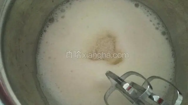 打成细腻的小泡泡加入1/3白糖，继续中档搅打。