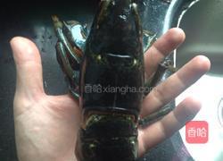 清蒸龙虾的做法图解1