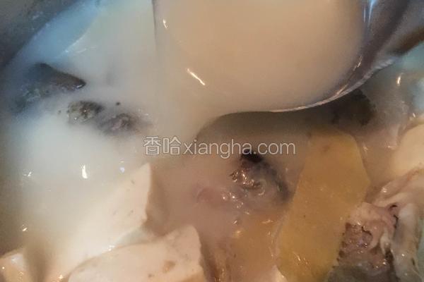 石斑鱼头豆腐汤