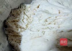 猪肉包子的做法图解9