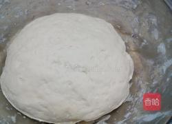 荠菜馅饺子的做法图解9