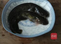 鲶鱼炖豆腐的做法图解1