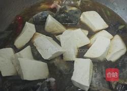 鲶鱼炖豆腐的做法图解15