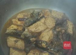 鲶鱼炖豆腐的做法图解17