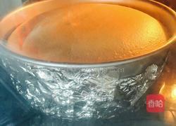 无油酸奶蛋糕的做法图解11