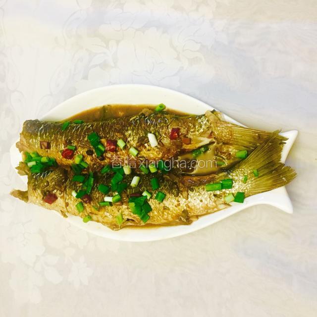 酱焖梭鱼