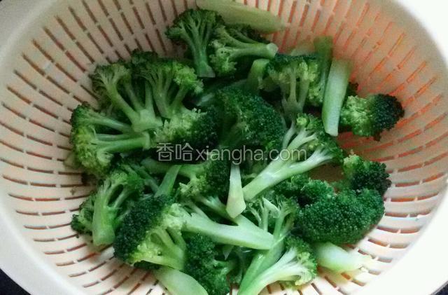 把西兰花手掰成小朵清洗干净，锅中烧开水，水中放少许盐，把西兰花焯一下然后捞出备用。