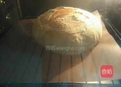 免揉面包的做法图解14