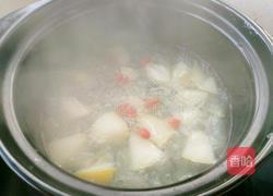 冰糖雪梨炖银耳的做法图解9