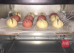 荷花酥的做法图解24