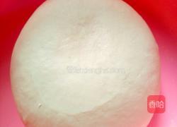 独家素饺子的做法图解1