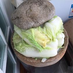 酸菜腌制方法，的做法[图]