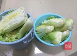 酸菜腌制方法，的做法图解5