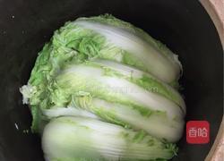 酸菜腌制方法，的做法图解7