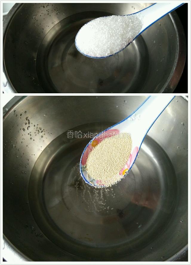 300克温水里加入20克白糖，3克安琪酵母。