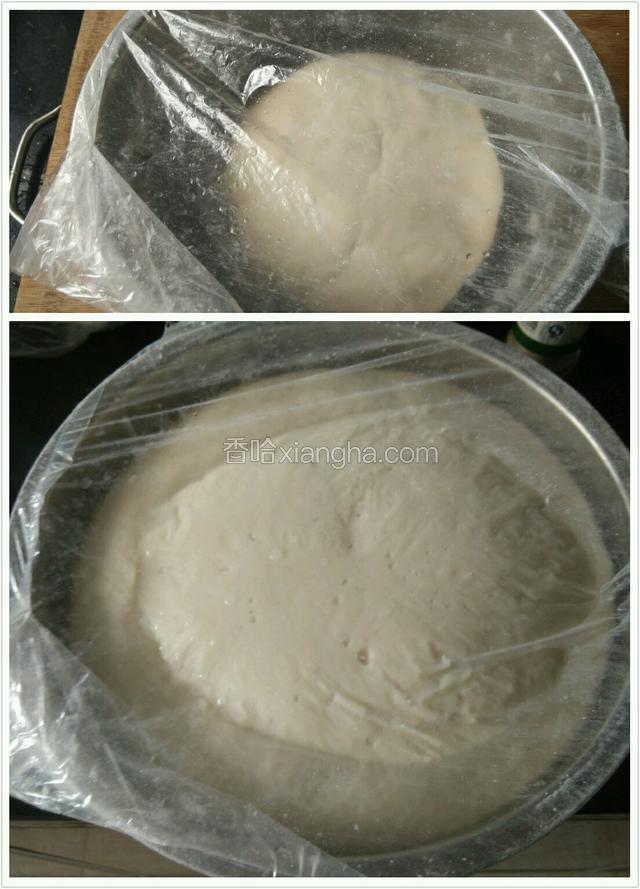放回盆中，用保鲜袋套住，放温暖处发至2倍大（冬天可用热水放高压锅里，放个架子把面盆放进去盖好盖）。