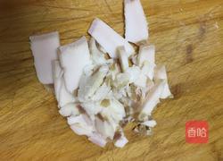 豆腐干胡萝卜烧肉的做法图解4