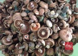 雁鹅菌油的做法图解1