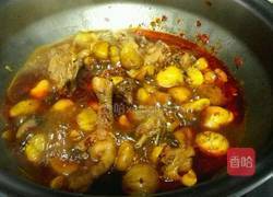 板栗烧鸡的做法图解10