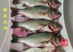 萝卜炖鲮鱼的做法图解5