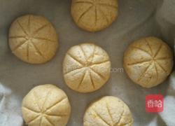南瓜包的做法图解12