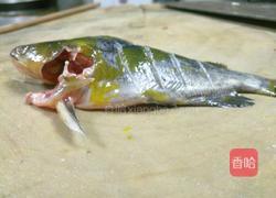 黄河戈亚鱼的做法图解1