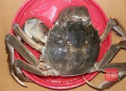 醉蟹的做法图解4