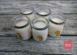 炼乳布丁的做法图解8
