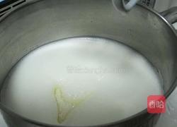 花纹酸奶蛋糕卷的做法图解13