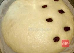 玉米面发糕的做法图解11