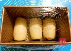 玉米油原味土司的做法图解11