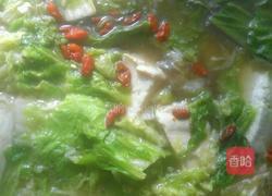 白菜炖豆腐的做法图解4