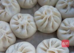 猪肉白菜包的做法图解12