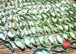 碧玉饺子的做法图解7