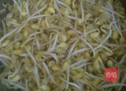 炒黄豆芽的做法图解1